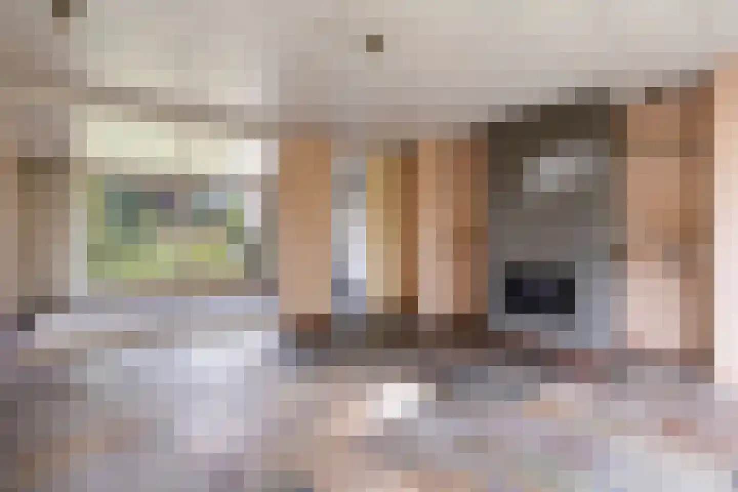Eeuw Driessestraat 12 Nuenen thumbnail 18