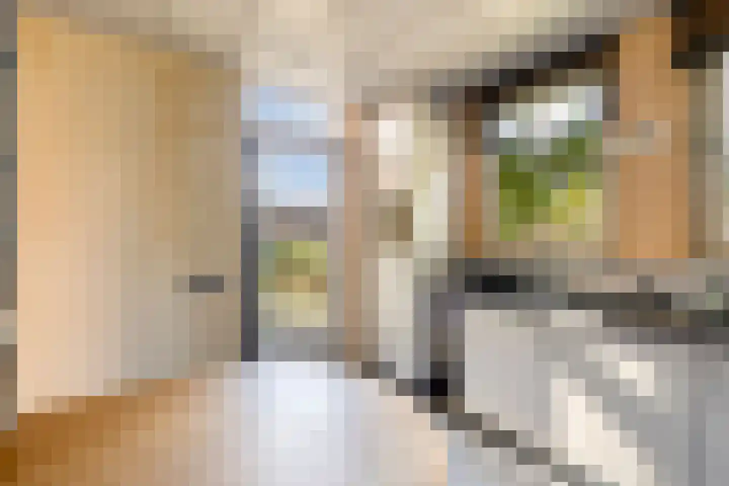 Eeuw Driessestraat 12 Nuenen thumbnail 22