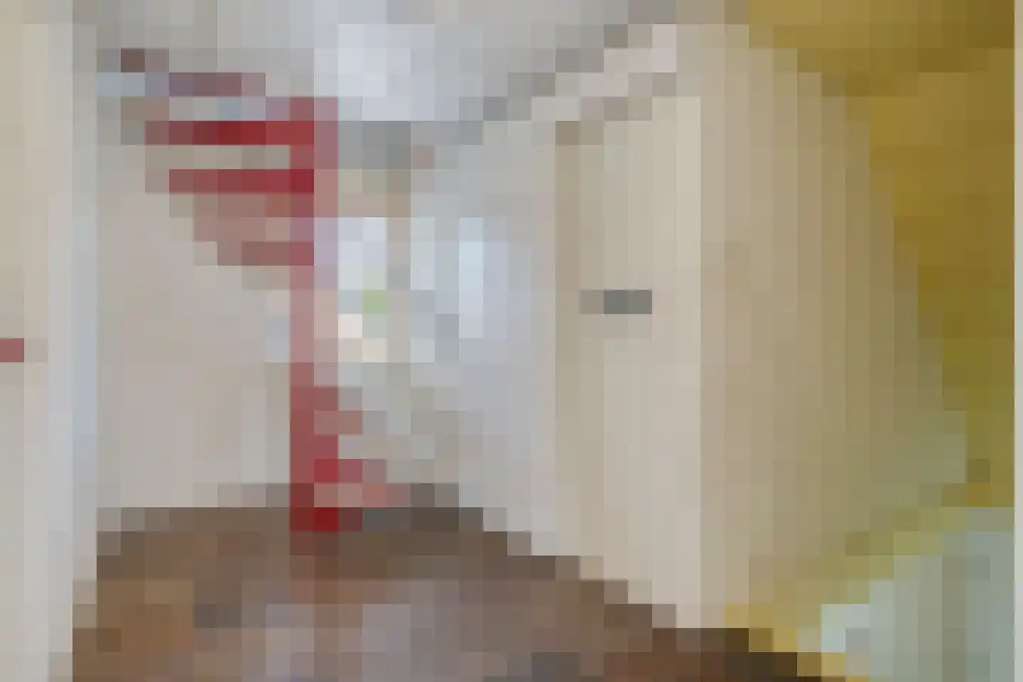 Eeuw Driessestraat 12 Nuenen thumbnail 23