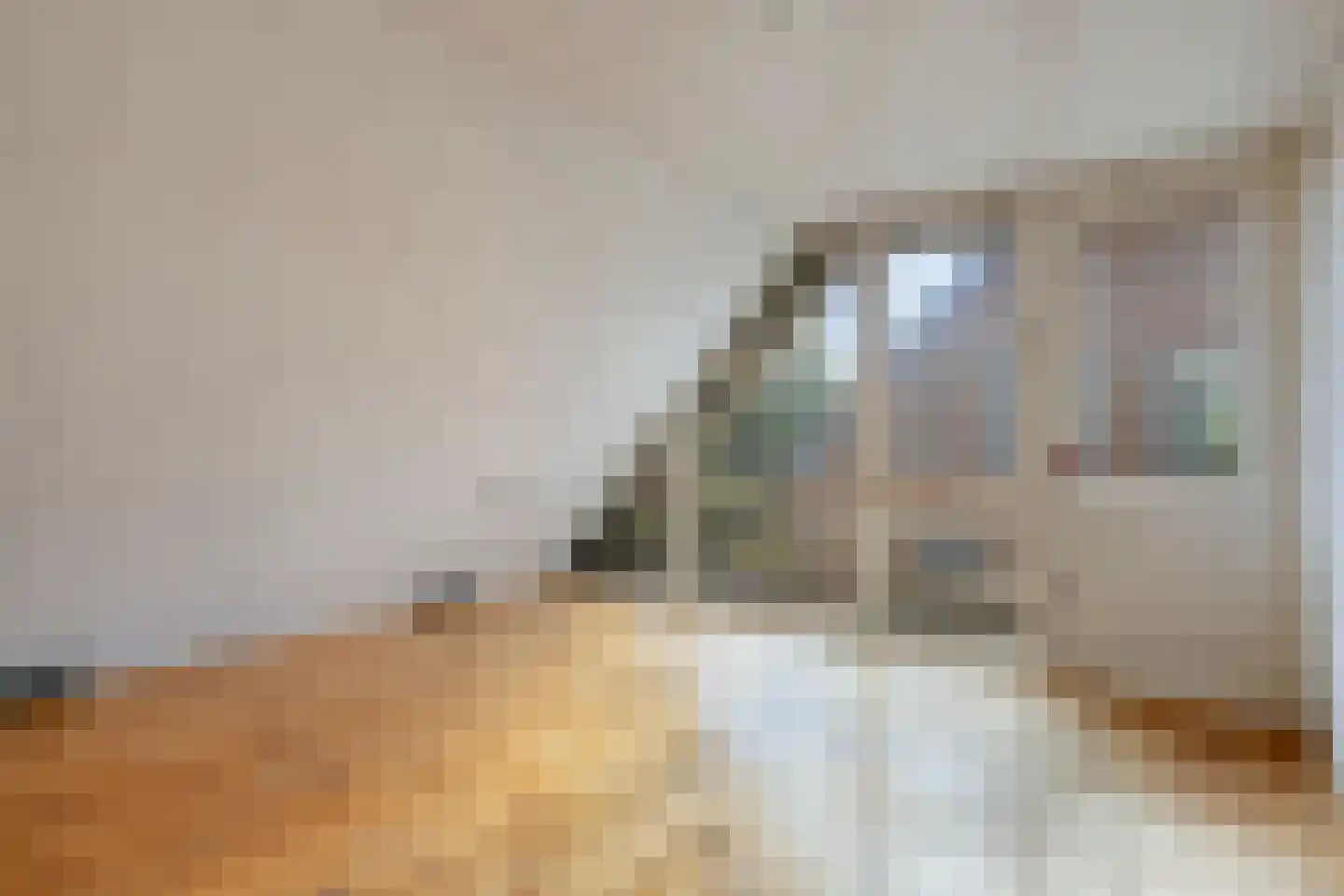 Eeuw Driessestraat 12 Nuenen thumbnail 24