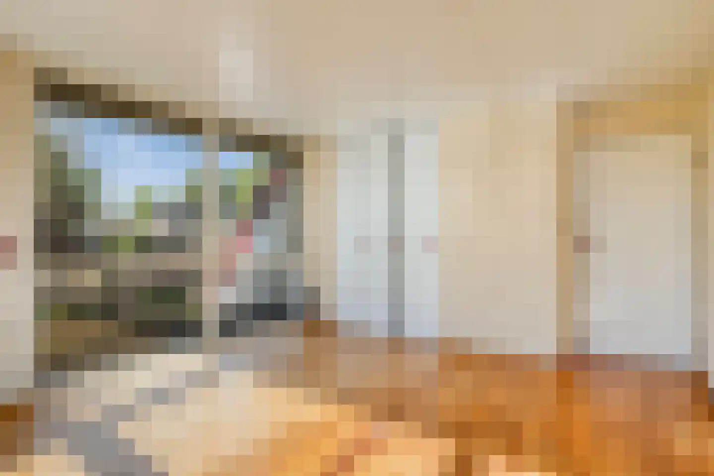 Eeuw Driessestraat 12 Nuenen thumbnail 27