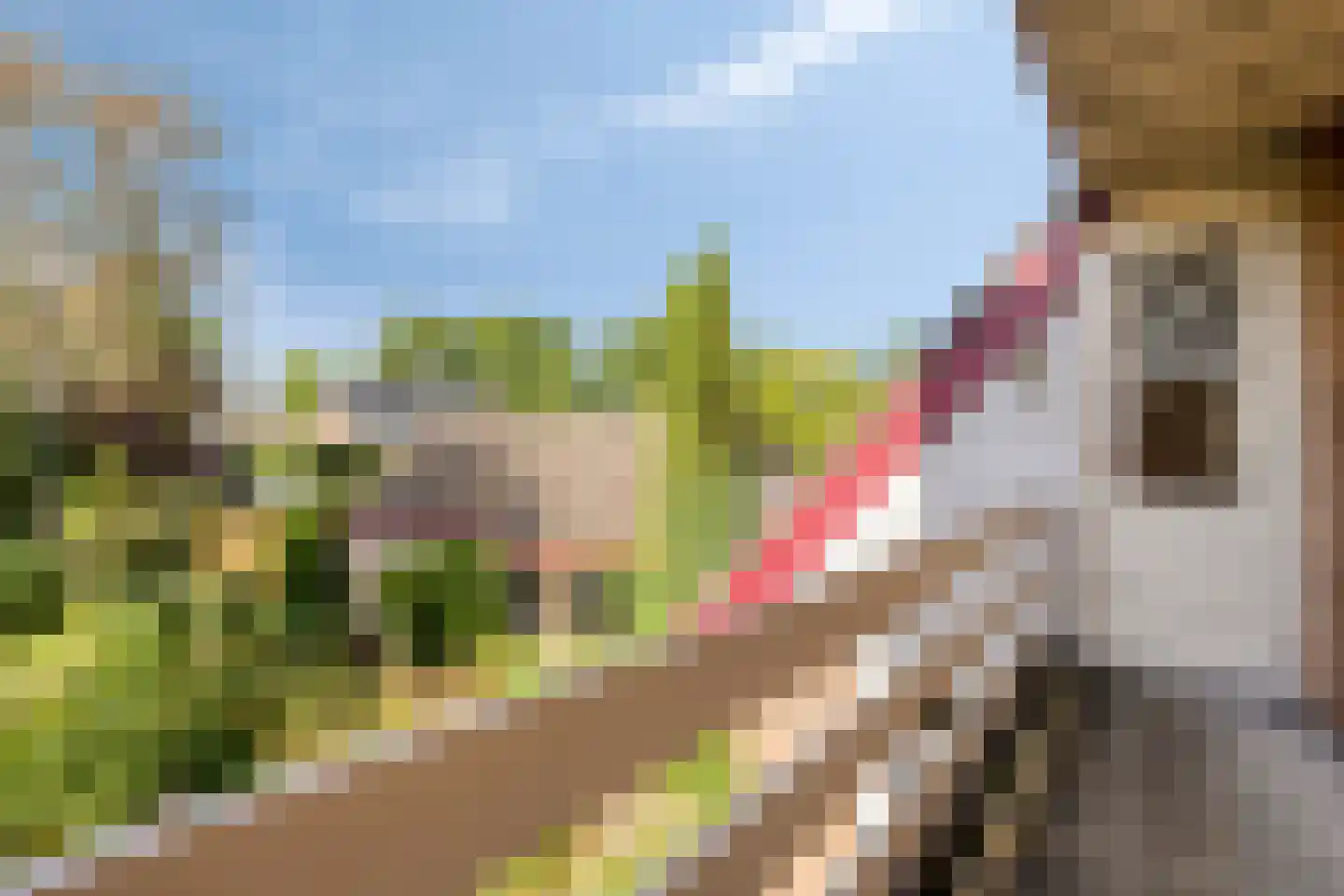 Eeuw Driessestraat 12 Nuenen thumbnail 30