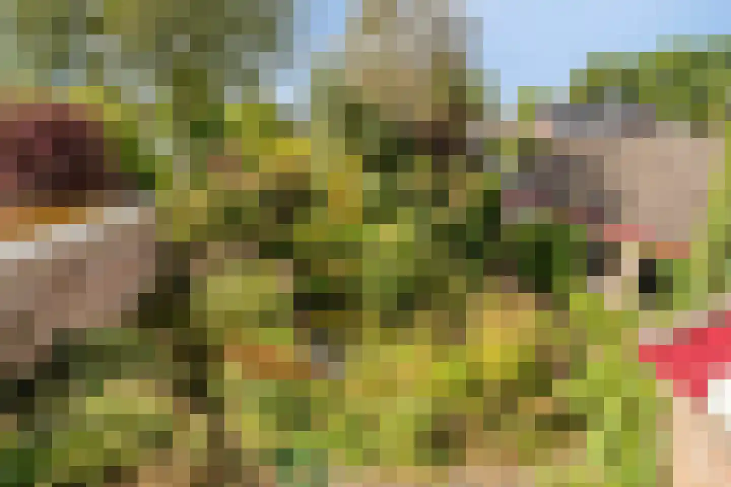 Eeuw Driessestraat 12 Nuenen thumbnail 31