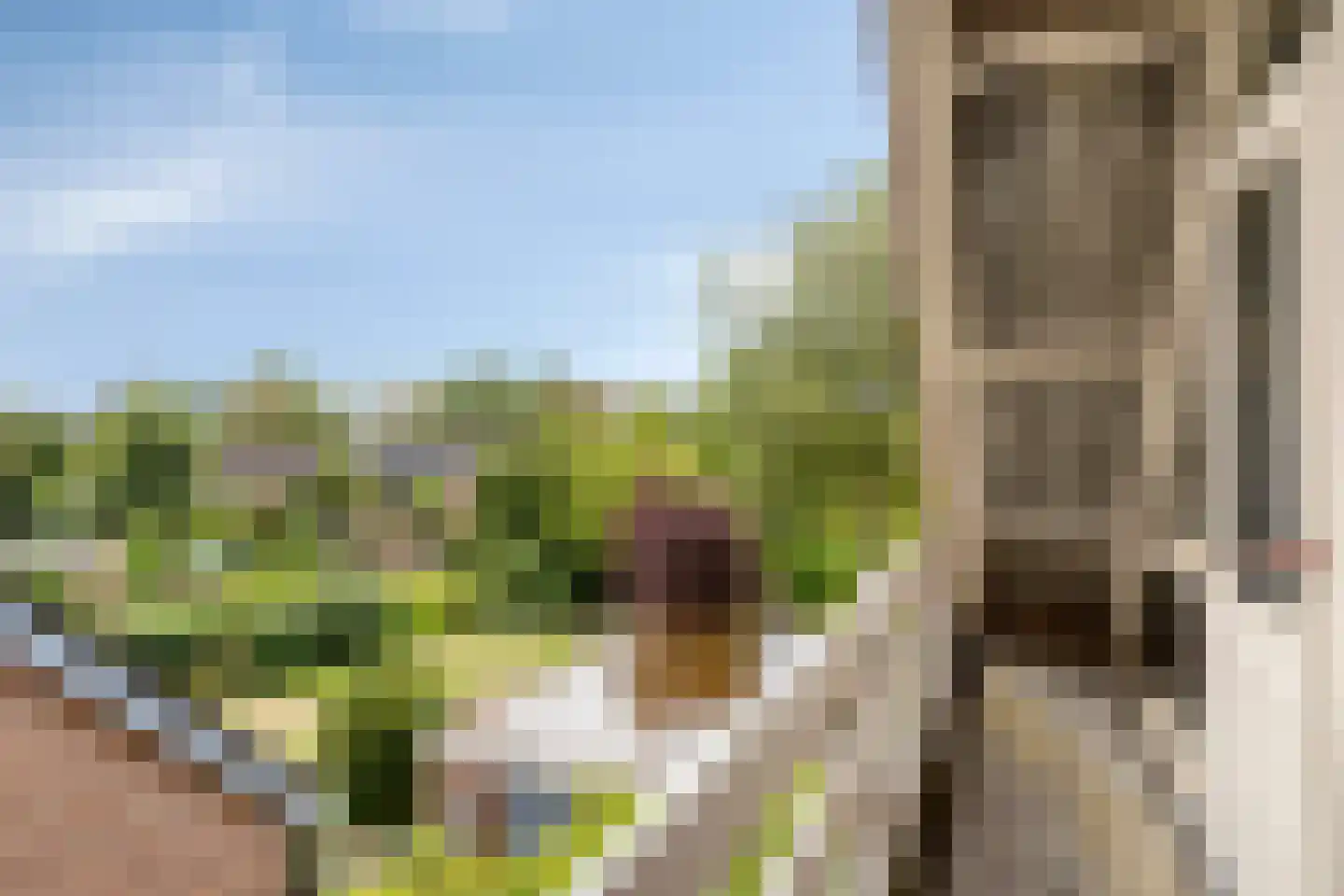 Eeuw Driessestraat 12 Nuenen thumbnail 39