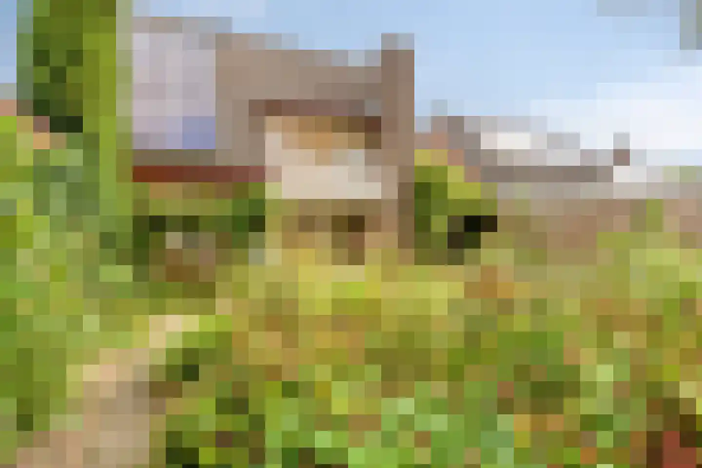 Eeuw Driessestraat 12 Nuenen thumbnail 41