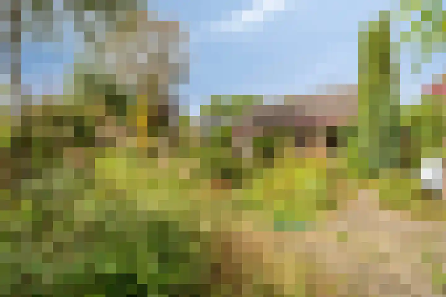 Eeuw Driessestraat 12 Nuenen thumbnail 43