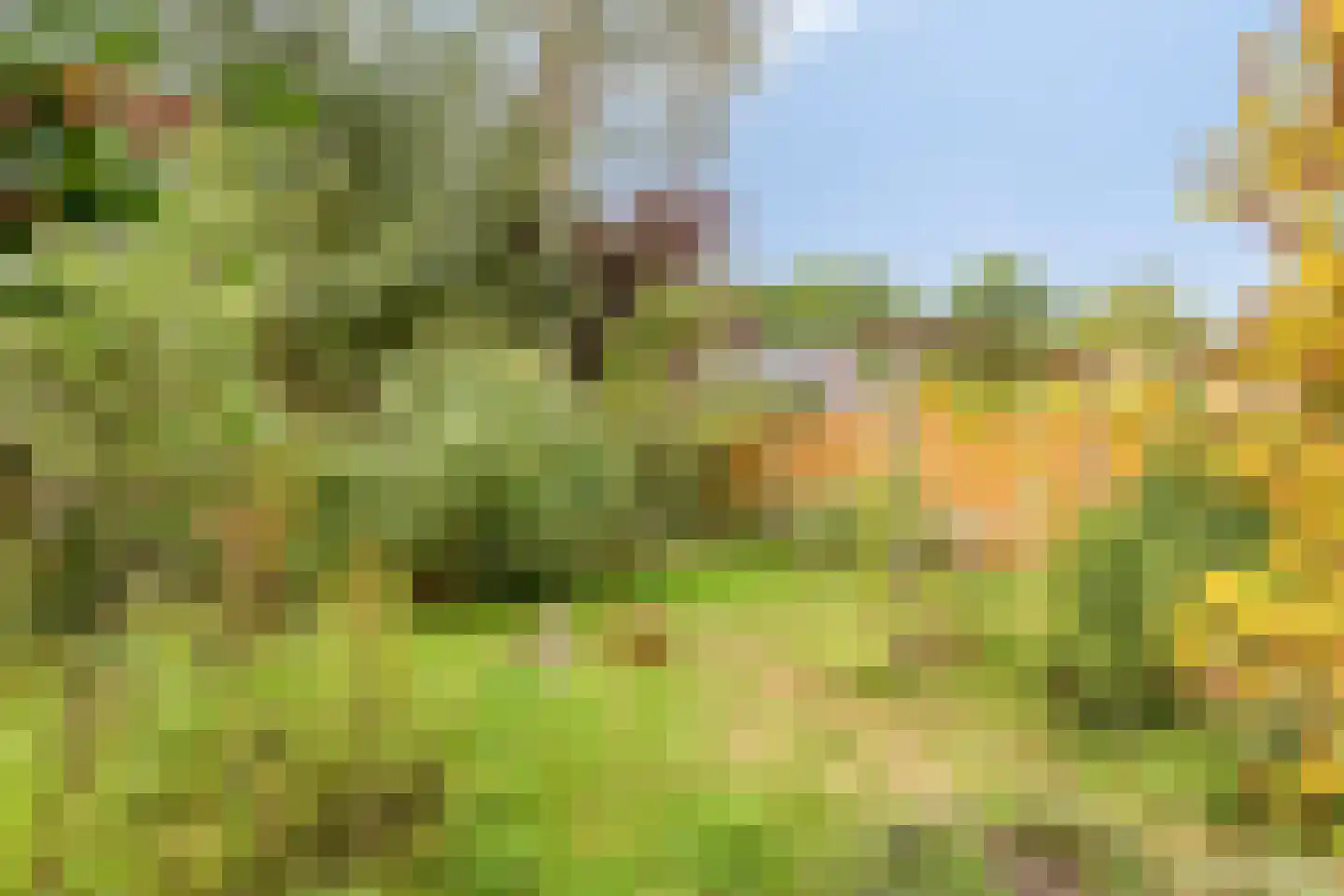 Eeuw Driessestraat 12 Nuenen thumbnail 45