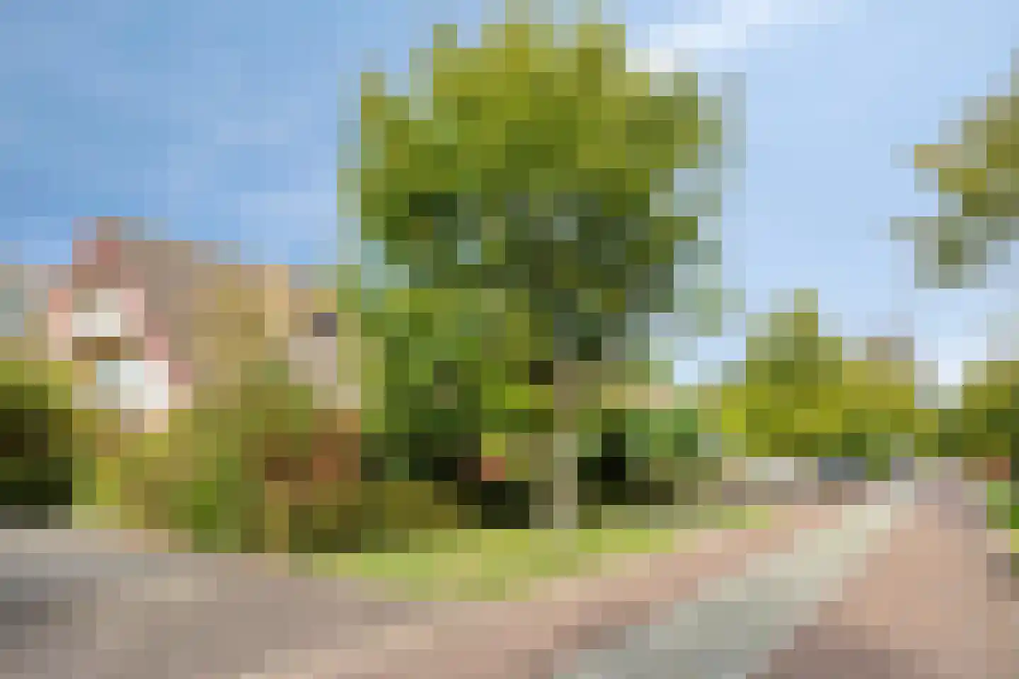 Eeuw Driessestraat 12 Nuenen thumbnail 8