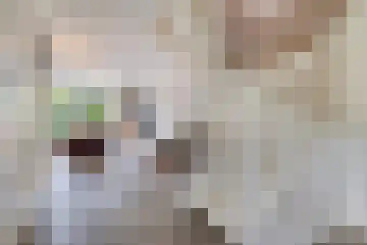 Eeuwelseloop 11 Heesch thumbnail 10