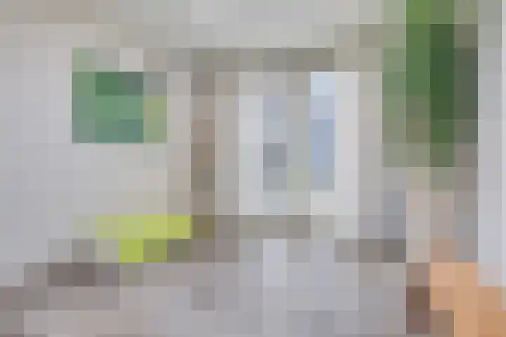 Eeuwelseloop 11 Heesch thumbnail 14