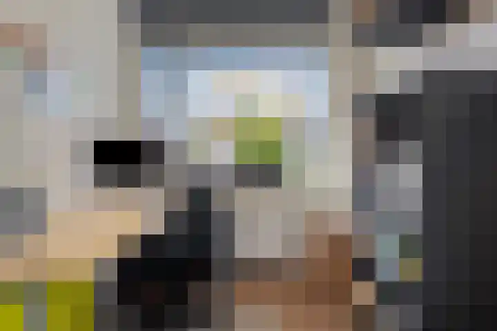 Eeuwelseloop 11 Heesch thumbnail 21