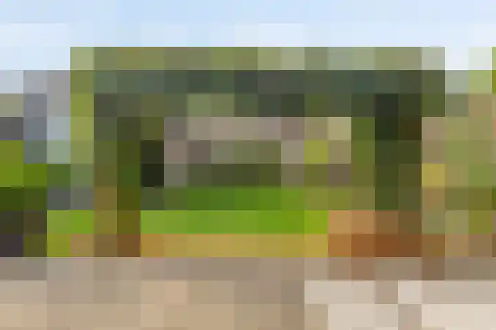Eeuwelseloop 11 Heesch thumbnail 24