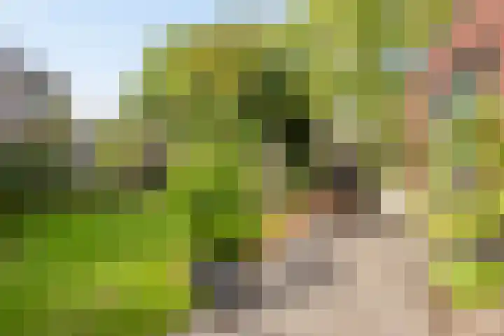 Eeuwelseloop 11 Heesch thumbnail 25