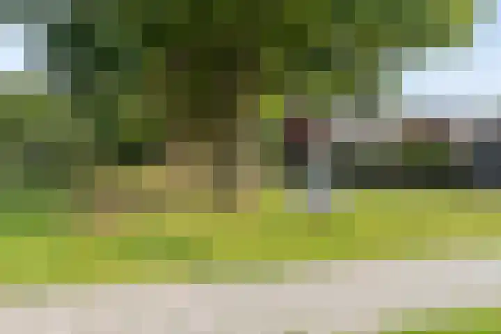 Eeuwelseloop 11 Heesch thumbnail 27