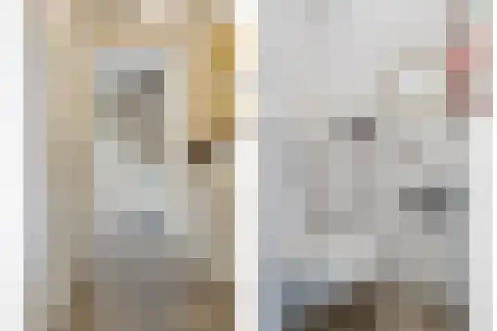Eeuwelseloop 11 Heesch thumbnail 6