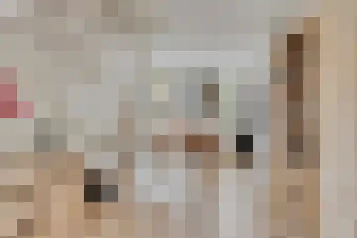 Eeuwelseloop 15 Heesch thumbnail 10