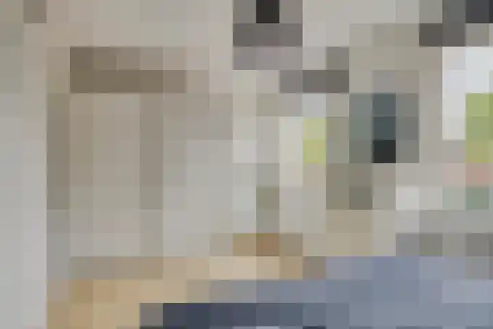 Eeuwelseloop 15 Heesch thumbnail 12