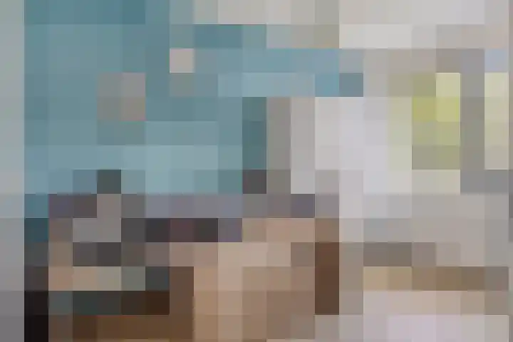 Eeuwelseloop 15 Heesch thumbnail 14