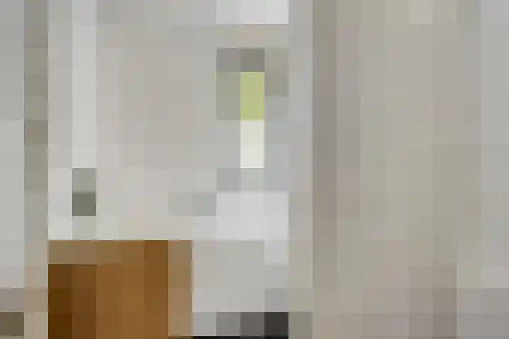 Eeuwelseloop 15 Heesch thumbnail 16