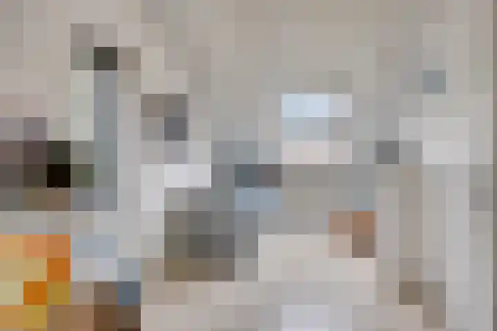 Eeuwelseloop 15 Heesch thumbnail 19