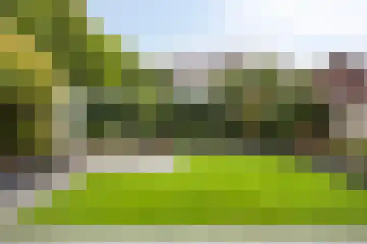 Eeuwelseloop 15 Heesch thumbnail 21