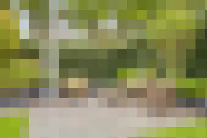 Eeuwelseloop 15 Heesch thumbnail 22