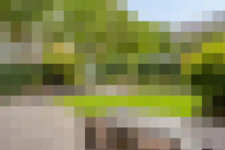 Eeuwelseloop 15 Heesch thumbnail 23