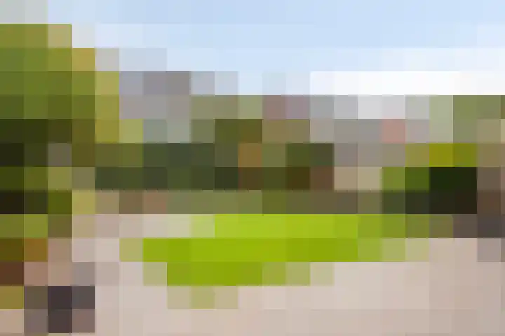Eeuwelseloop 15 Heesch thumbnail 24