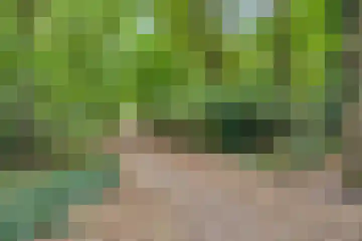 Eeuwelseloop 15 Heesch thumbnail 29