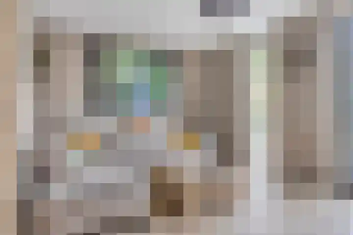 Eeuwelseloop 15 Heesch thumbnail 6