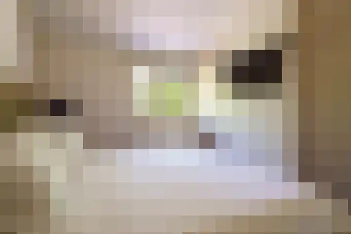 Eeuwenweg 5 Almere thumbnail 18