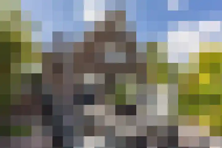 Eeuwig Licht 26 Eindhoven thumbnail 39