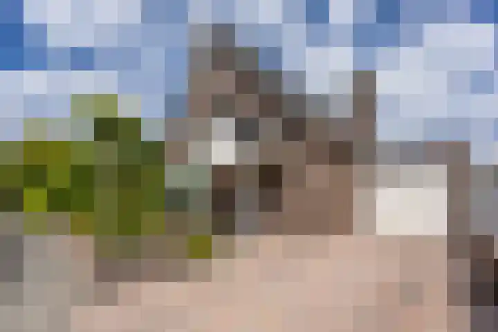 Eeuwig Licht 26 Eindhoven thumbnail 45