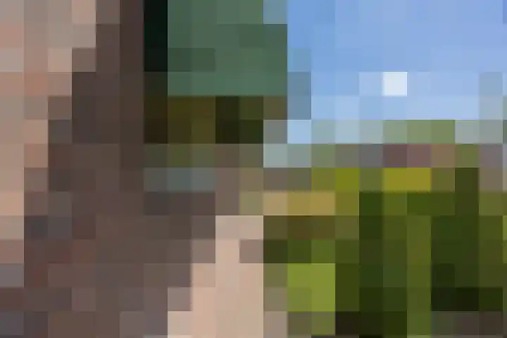 Eeuwig Licht 26 Eindhoven thumbnail 7