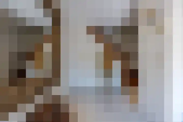 Eeuwig Licht 26 Eindhoven thumbnail 8