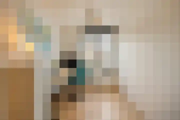 Eeuwig Licht 69 Eindhoven thumbnail 25