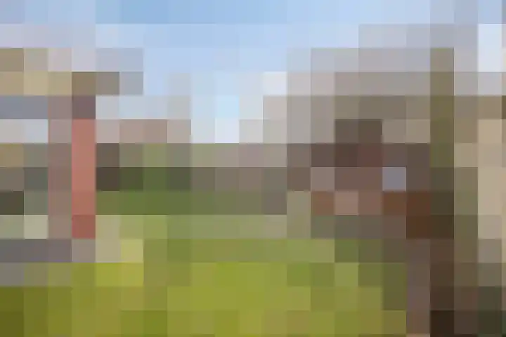 Eeuwig Licht 69 Eindhoven thumbnail 38