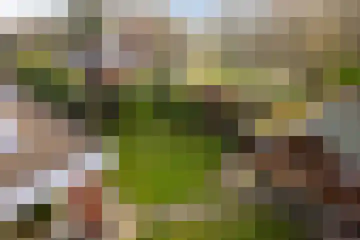 Eeuwig Licht 69 Eindhoven thumbnail 39