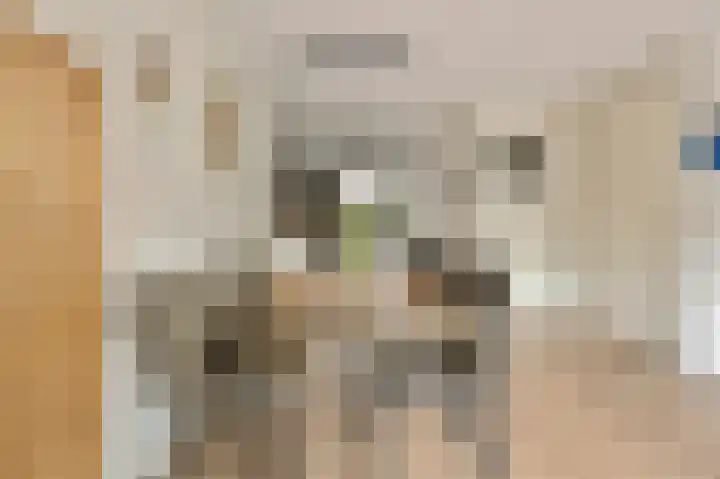 Eeuwige Jeugdlaan 16 Amsterdam thumbnail 10