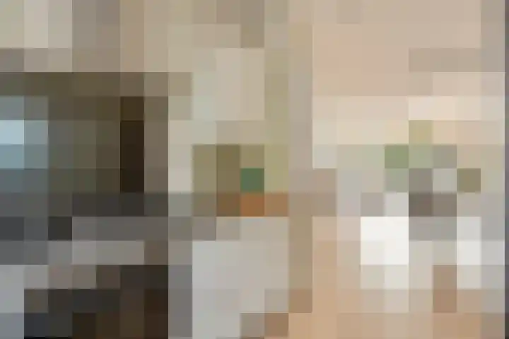 Eeuwige Jeugdlaan 16 Amsterdam thumbnail 14