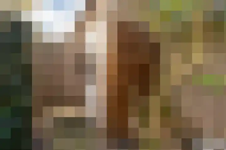 Eeuwige Jeugdlaan 16 Amsterdam thumbnail 19