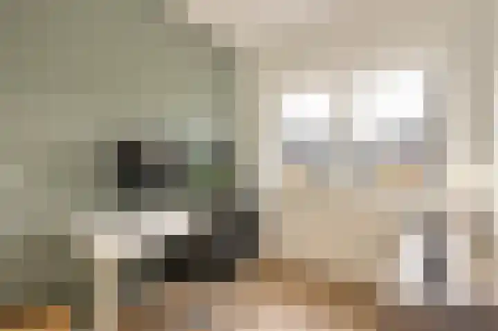 Eeuwige Jeugdlaan 16 Amsterdam thumbnail 22