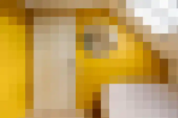 Eeuwige Jeugdlaan 16 Amsterdam thumbnail 29