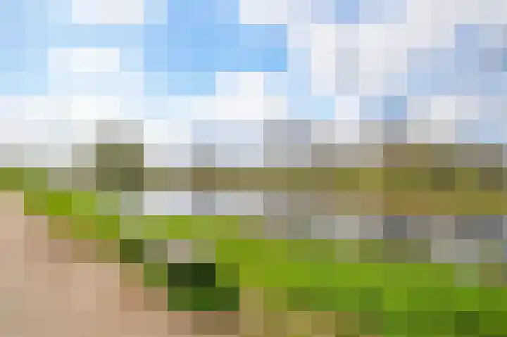 Eeuwige Jeugdlaan 16 Amsterdam thumbnail 34