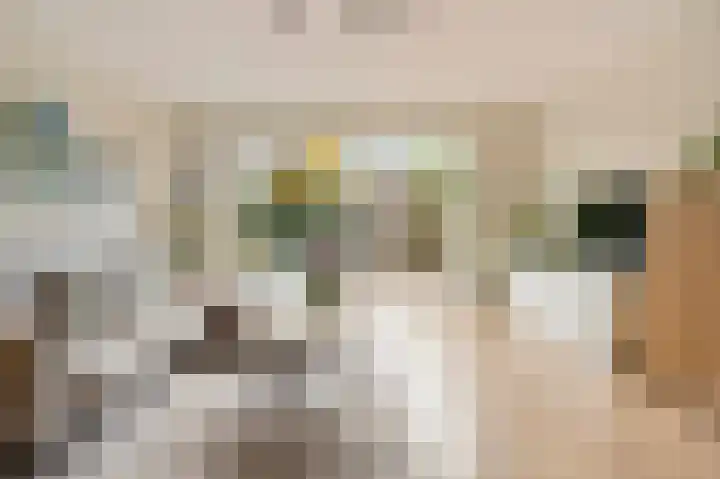 Eeuwige Jeugdlaan 16 Amsterdam thumbnail 6