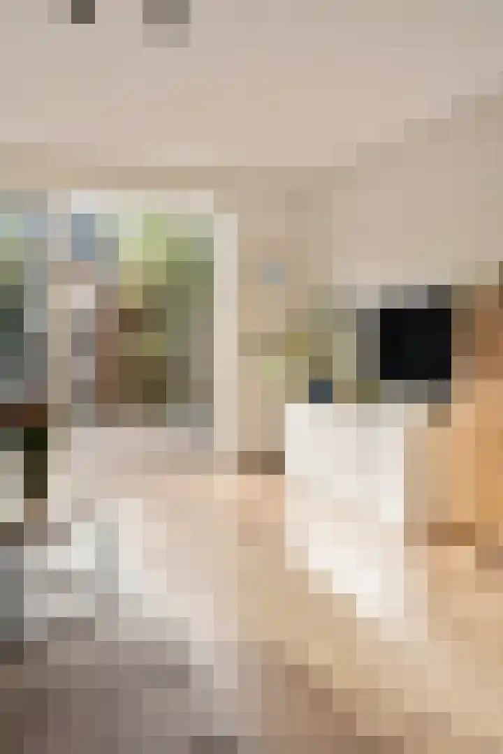 Eeuwige Jeugdlaan 16 Amsterdam thumbnail 7