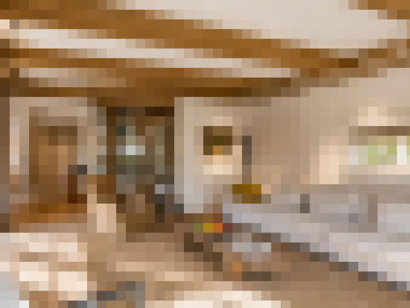 Eeuwigelaan 17 Bergen (NH) thumbnail 14