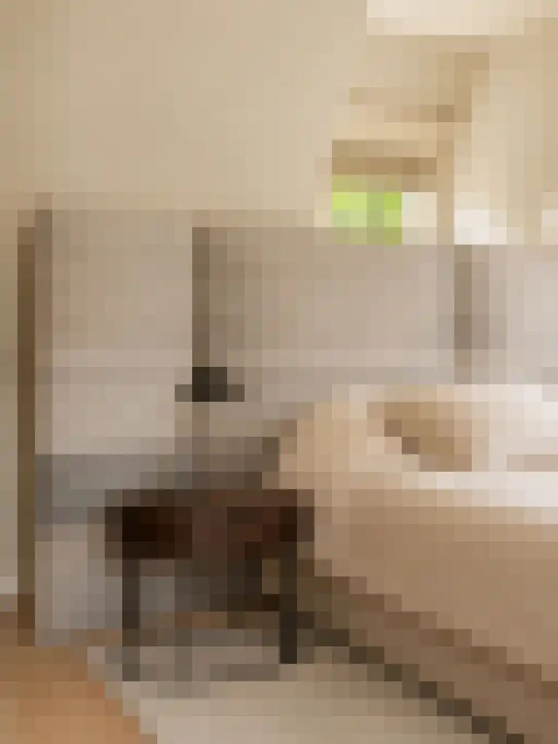 Eeuwigelaan 17 Bergen (NH) thumbnail 21