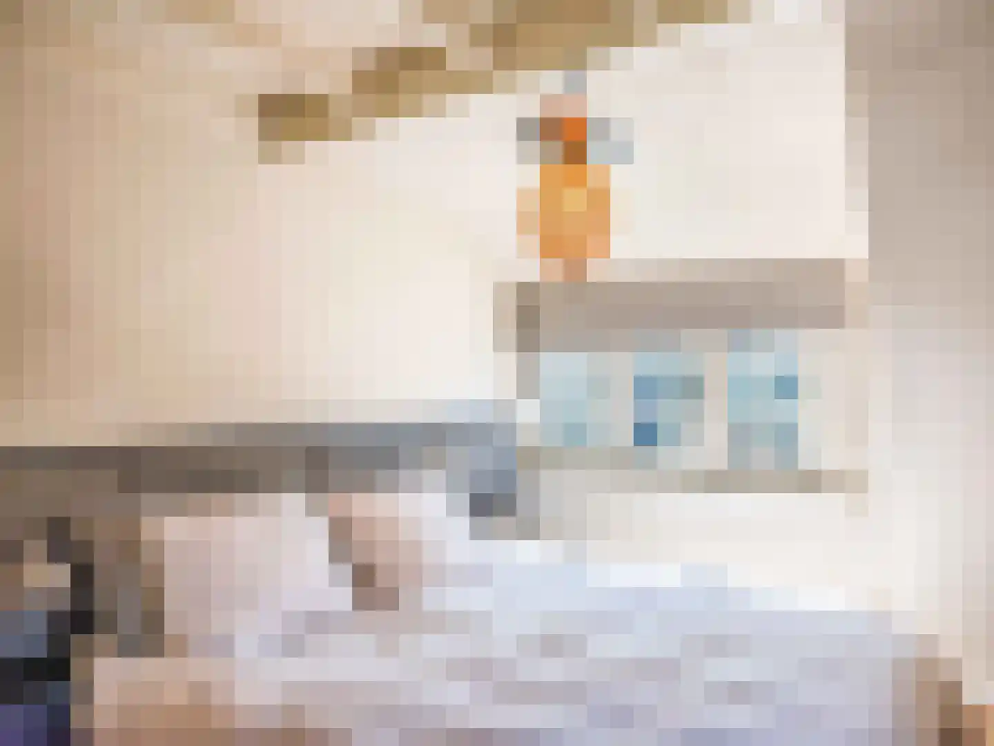 Eeuwigelaan 17 Bergen (NH) thumbnail 24