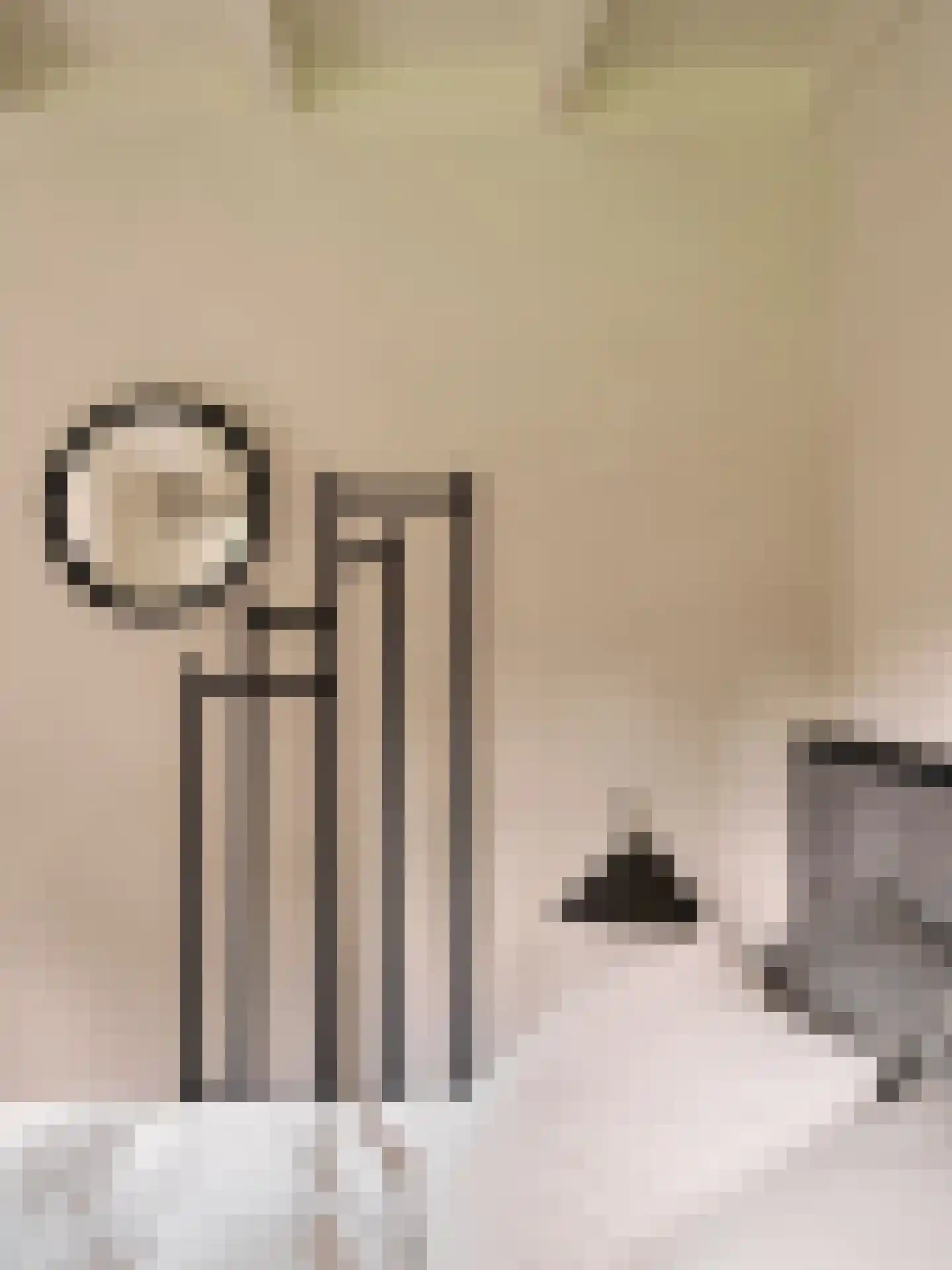 Eeuwigelaan 17 Bergen (NH) thumbnail 31